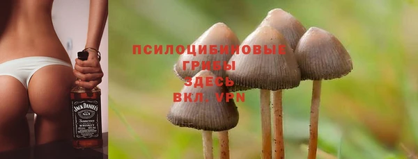 гашиш Дмитриев