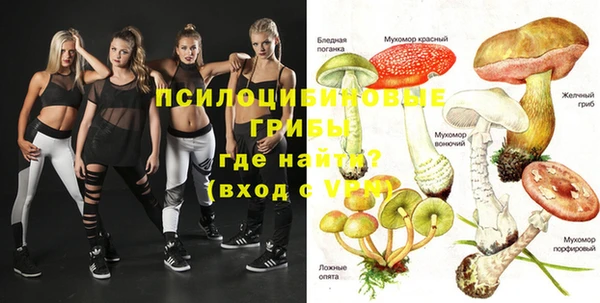мяу мяу мука Дмитровск