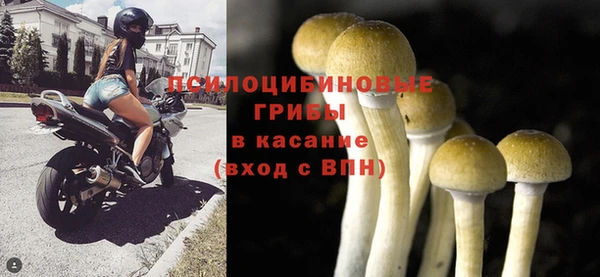 гашиш Дмитриев